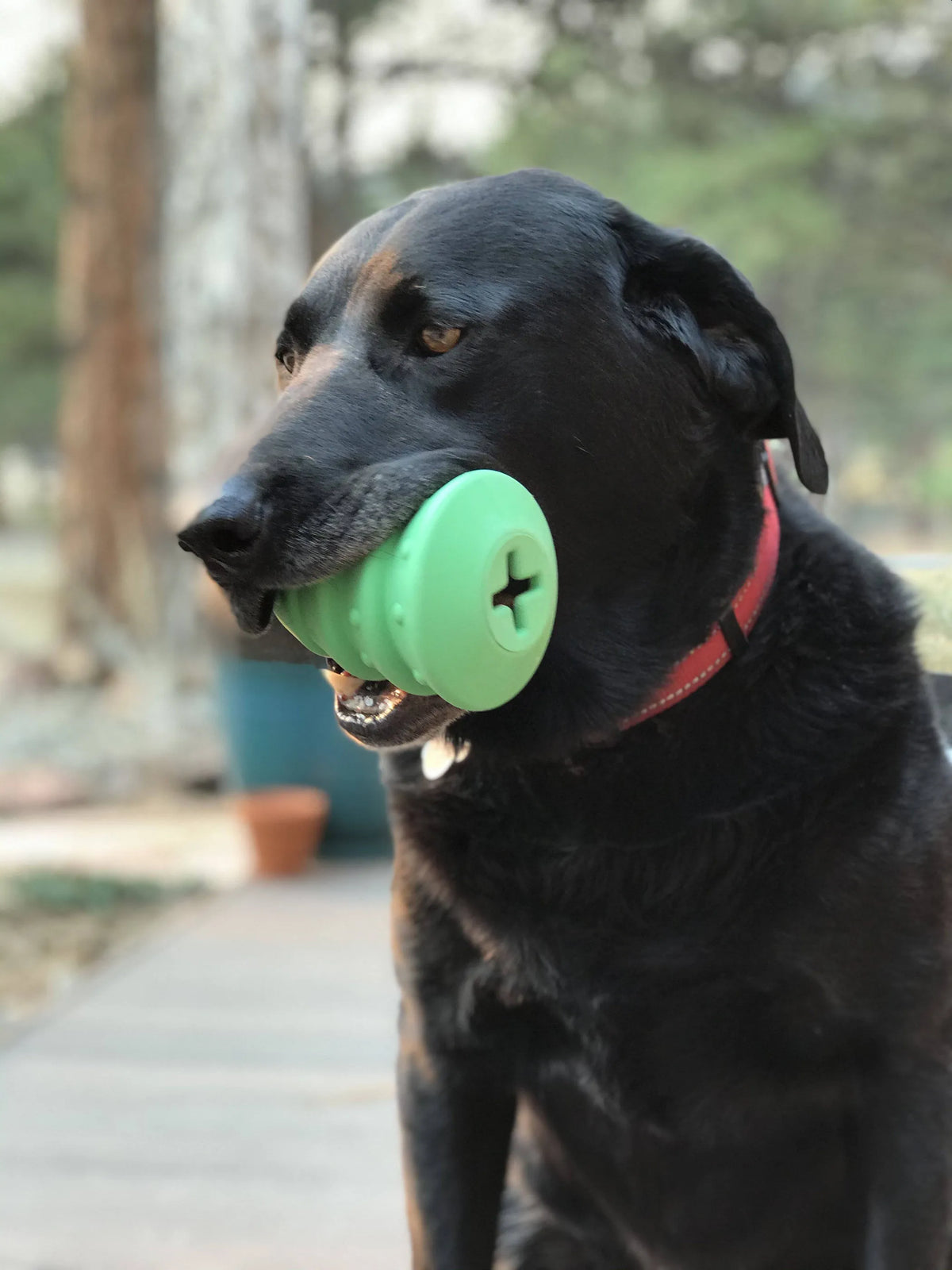SodaPup Christmas Tree Chew Toy, Durable Rubber