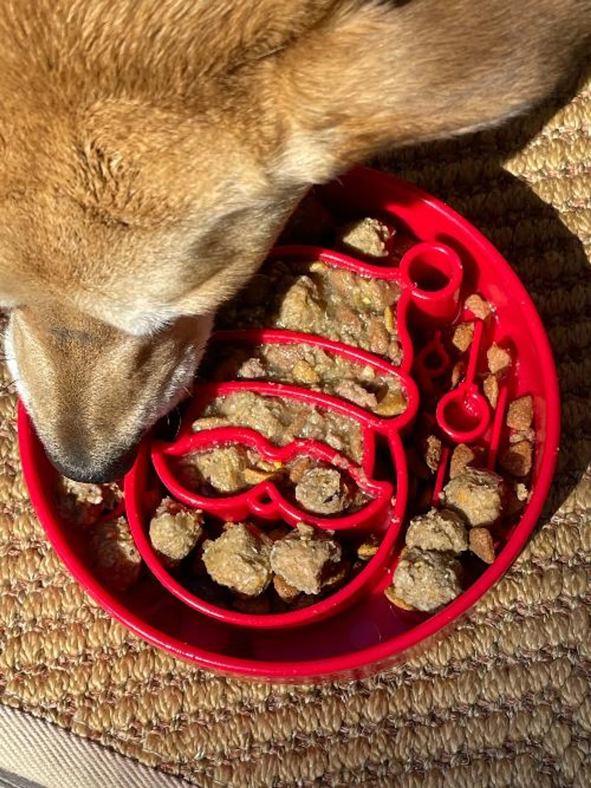 SodaPup Santa eBowl Slow Feeder Dog Bowl