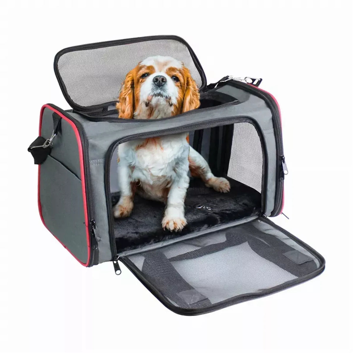 GOOPAWS Soft-Sided Pet Carrier for Small Dogs and Cats