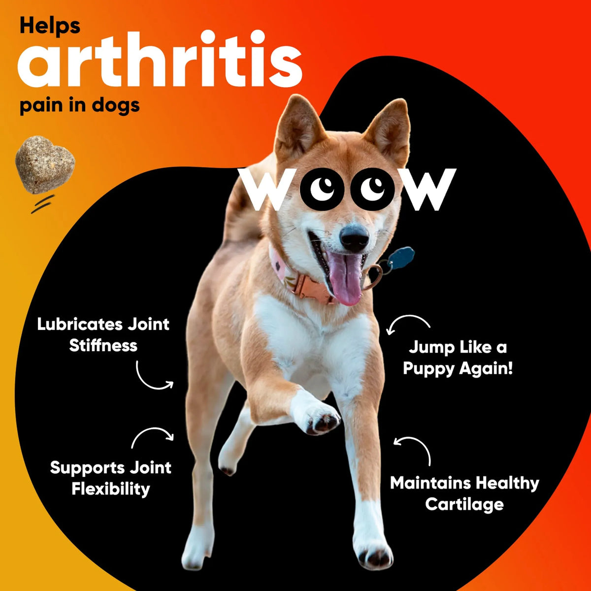 Dr Woow Hip & Joint Soft Chews for Dogs, Glucosamine & Chondroitin