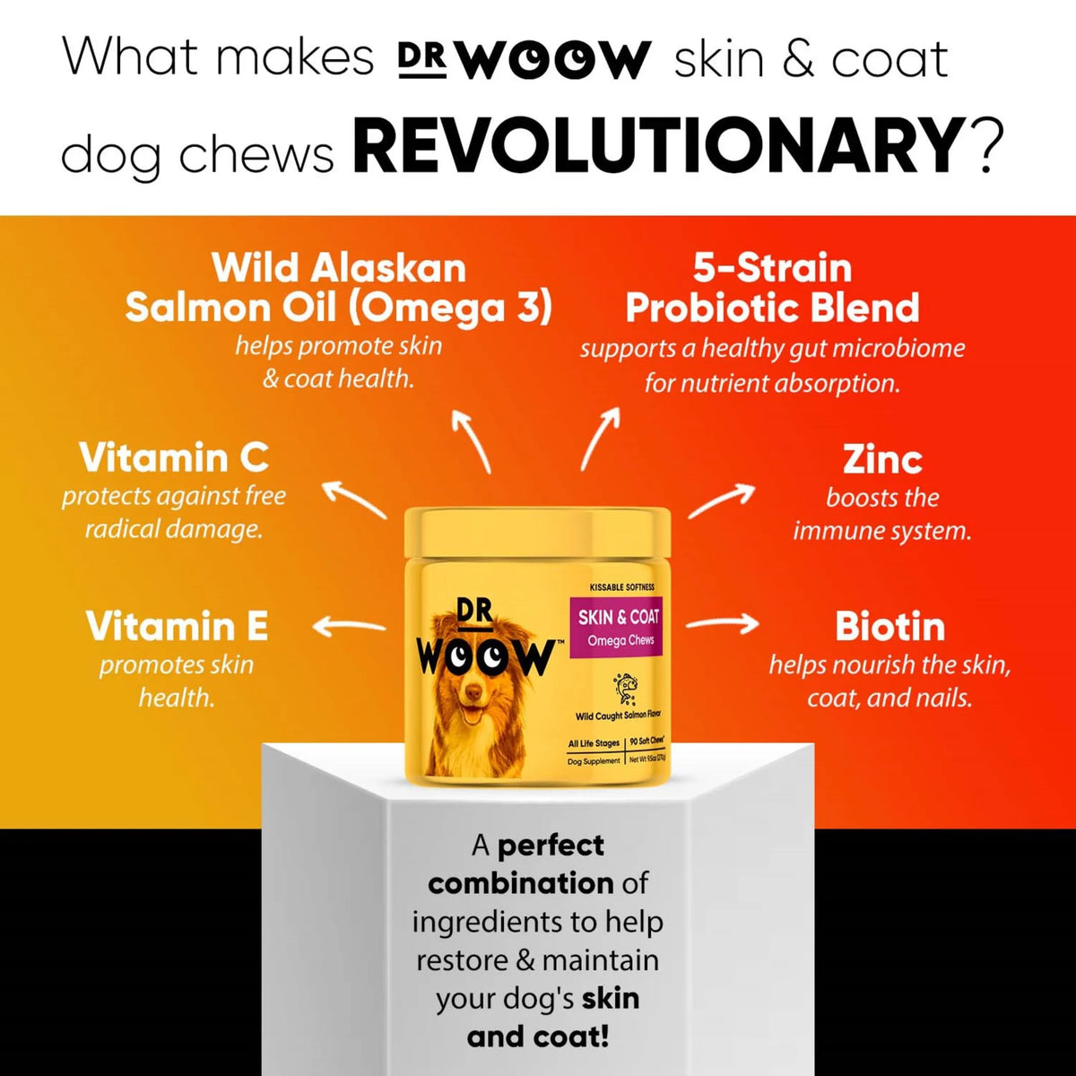 Dr Woow Skin & Coat Soft Chews for Dogs, Wild Alaskan Salmon Oil