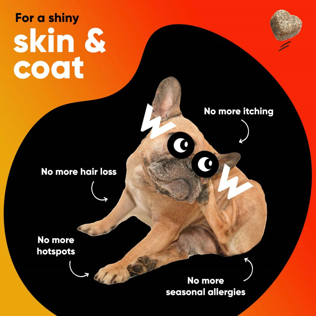 Dr Woow Skin & Coat Soft Chews for Dogs, Wild Alaskan Salmon Oil