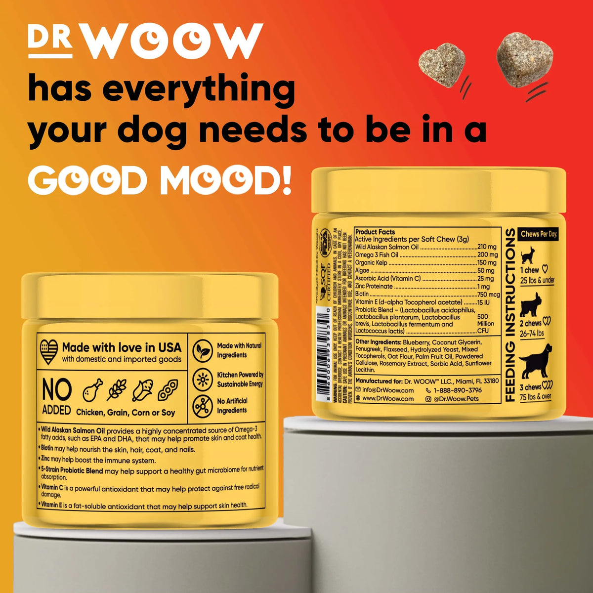 Dr Woow Skin & Coat Soft Chews for Dogs, Wild Alaskan Salmon Oil
