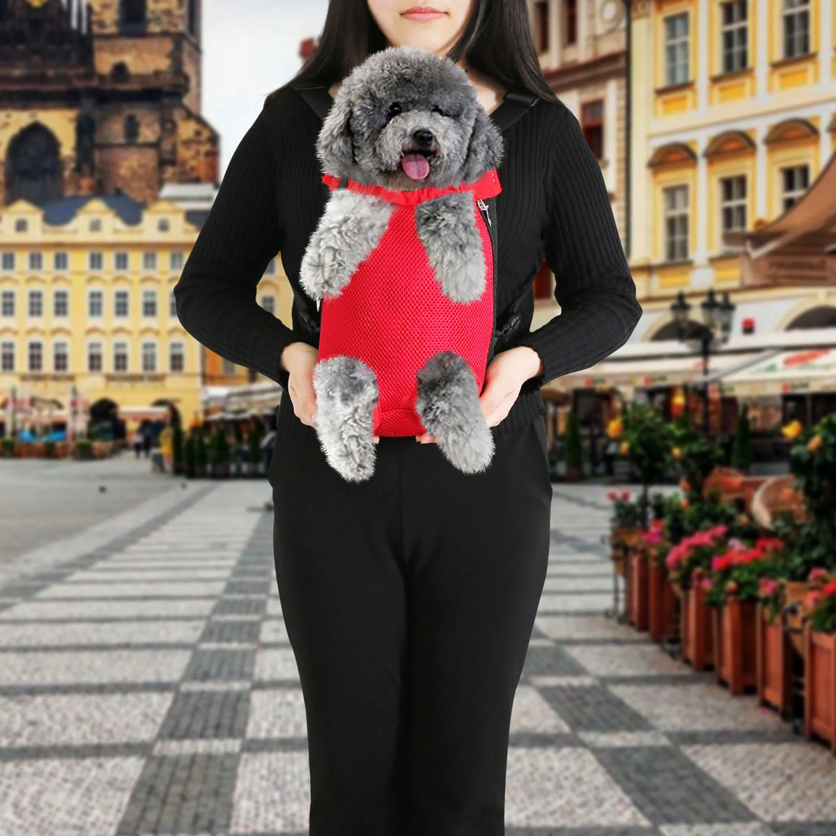 Legs-Out Front Dog Carrier Backpack