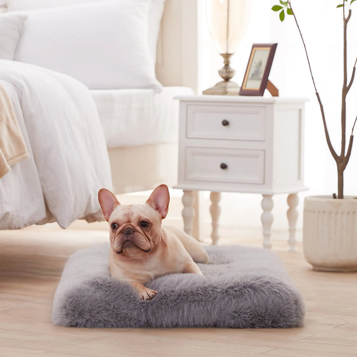 LFC PETS Plush Orthopedic Dog Bed, Washable