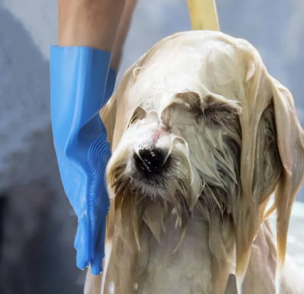 Deshedding Grooming Glove for Dogs & Cats - Gentle Silicone Brush for Bath & Brushing